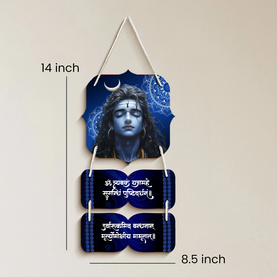 Mahadev Wooden Wall Hanging Om Tryambakam Mantra 9×14
